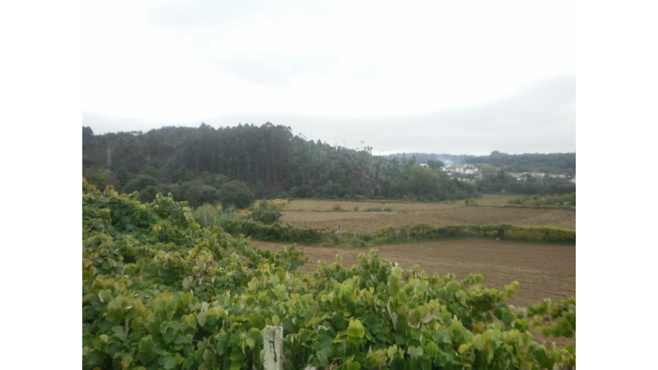 Quinta T4 para Venda em Pedroso e Seixezelo Foto 4