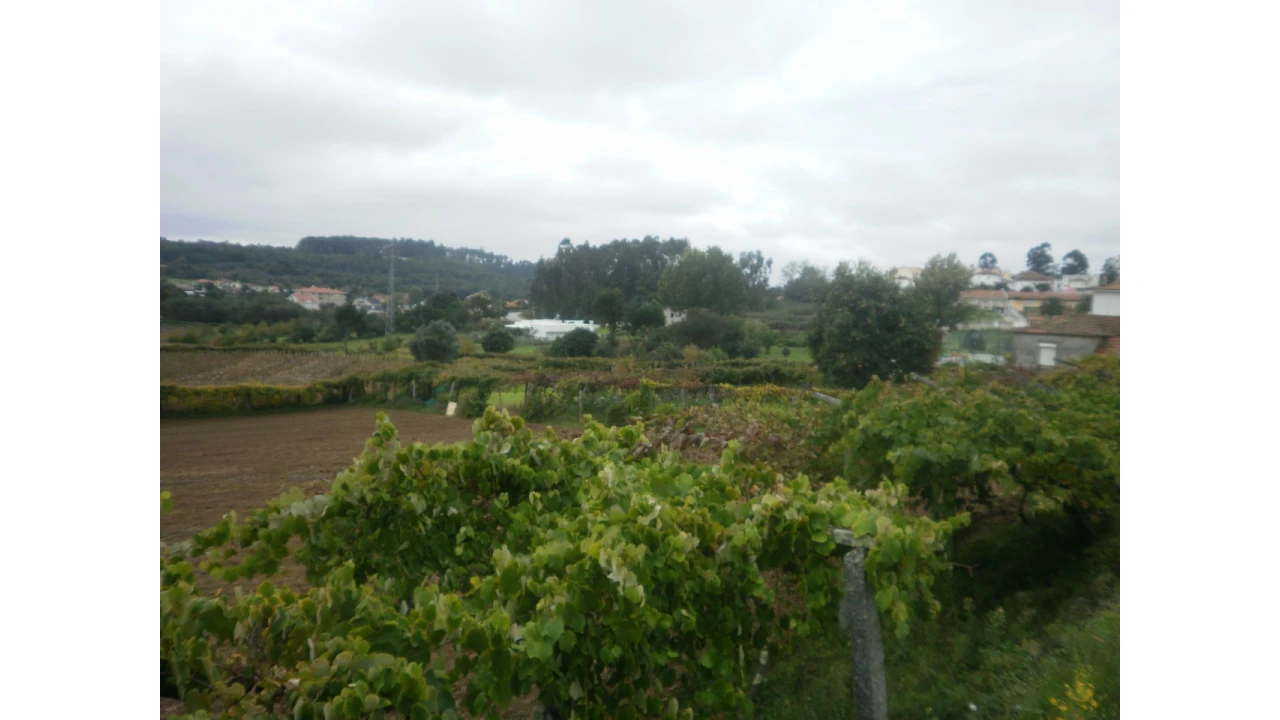 Quinta T4 para Venda em Pedroso e Seixezelo Foto 6