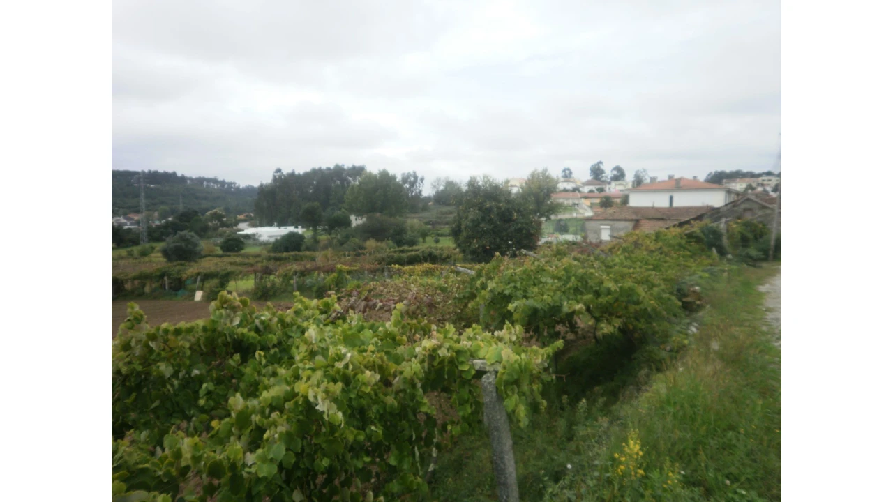 Quinta T4 para Venda em Pedroso e Seixezelo Foto 7