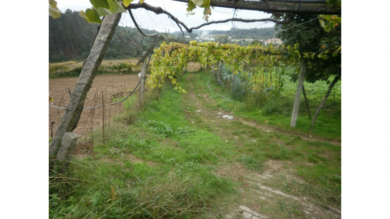 Quinta T4 para Venda em Pedroso e Seixezelo Foto 8