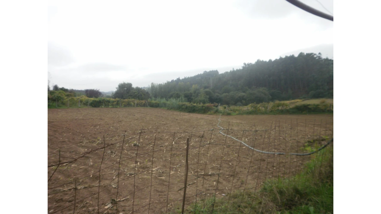 Quinta T4 para Venda em Pedroso e Seixezelo Foto 10