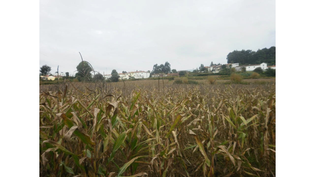 Quinta T4 para Venda em Pedroso e Seixezelo Foto 17