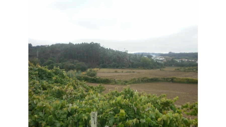 Quinta T4 para Venda em Pedroso e Seixezelo Foto 4