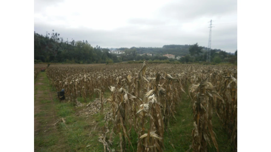 Quinta T4 para Venda em Pedroso e Seixezelo Foto 13