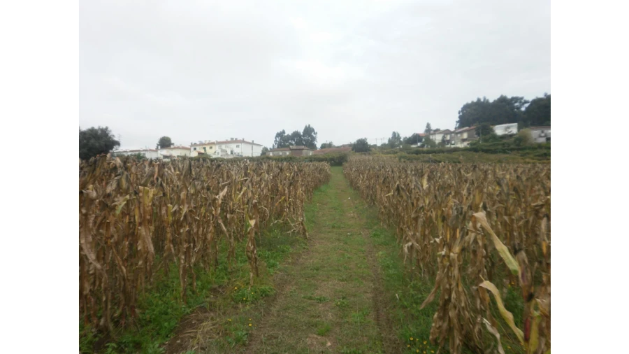 Quinta T4 para Venda em Pedroso e Seixezelo Foto 14