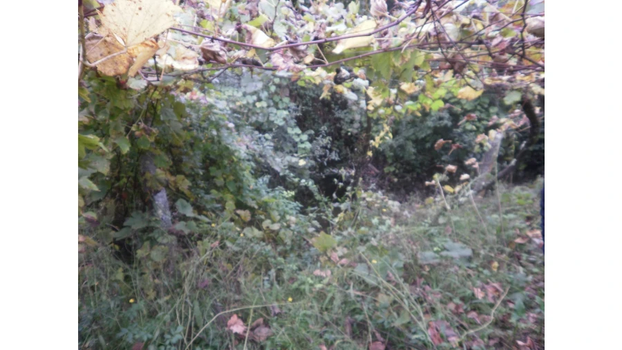 Quinta T4 para Venda em Pedroso e Seixezelo Foto 15