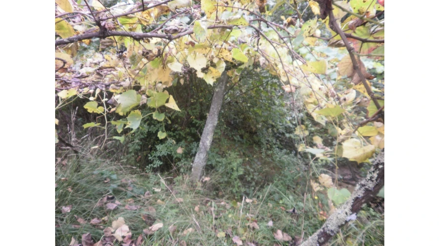 Quinta T4 para Venda em Pedroso e Seixezelo Foto 16