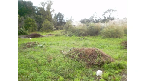 Terreno para Venda em Pedroso e Seixezelo