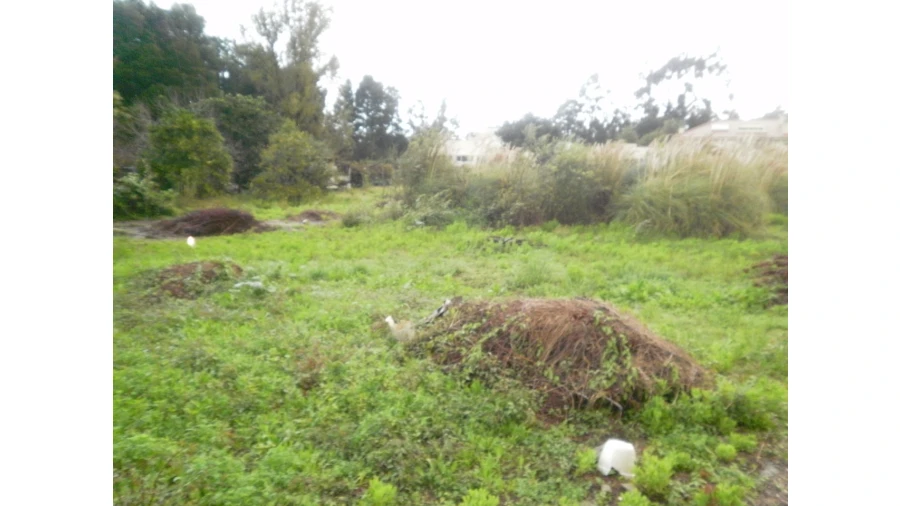 Terreno para Venda em Pedroso e Seixezelo