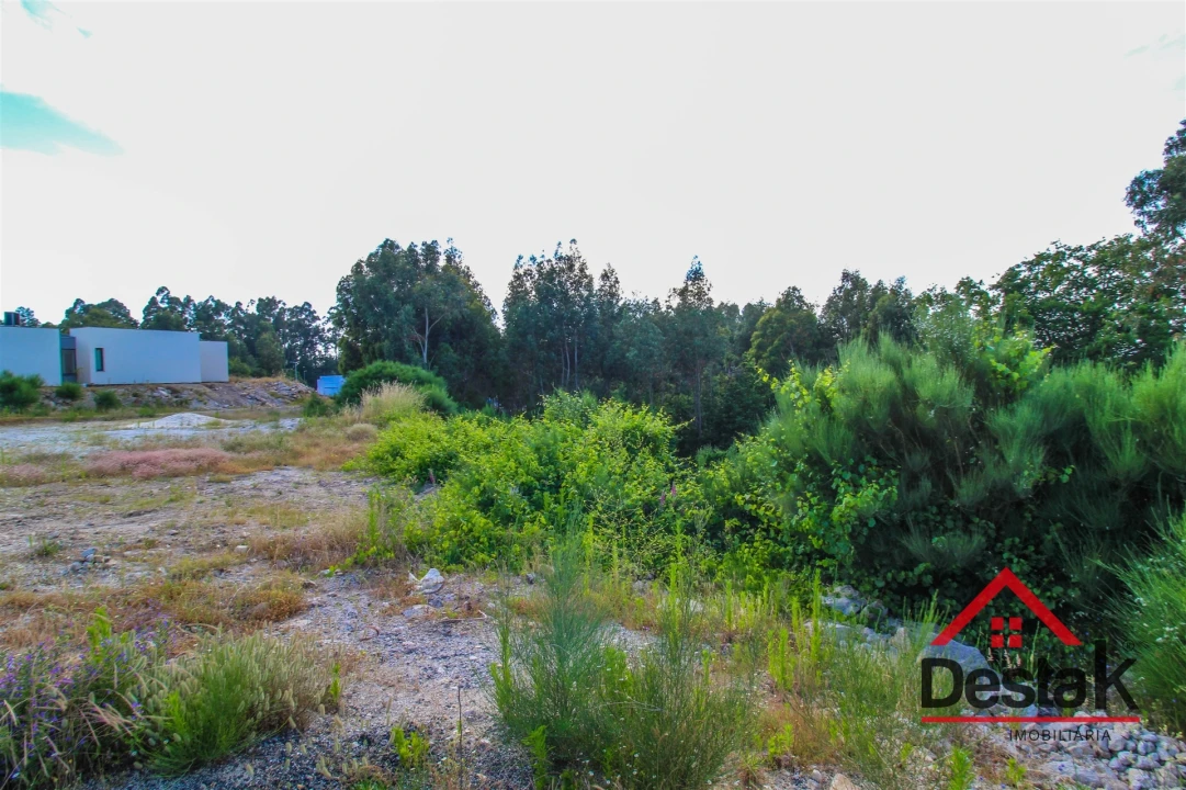 Terreno para Venda em Cambra e Carvalhal de Vermilhas Foto 6