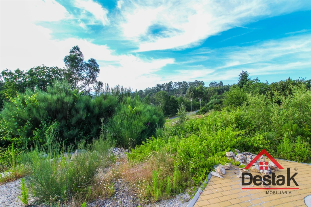 Terreno para Venda em Cambra e Carvalhal de Vermilhas Foto 2