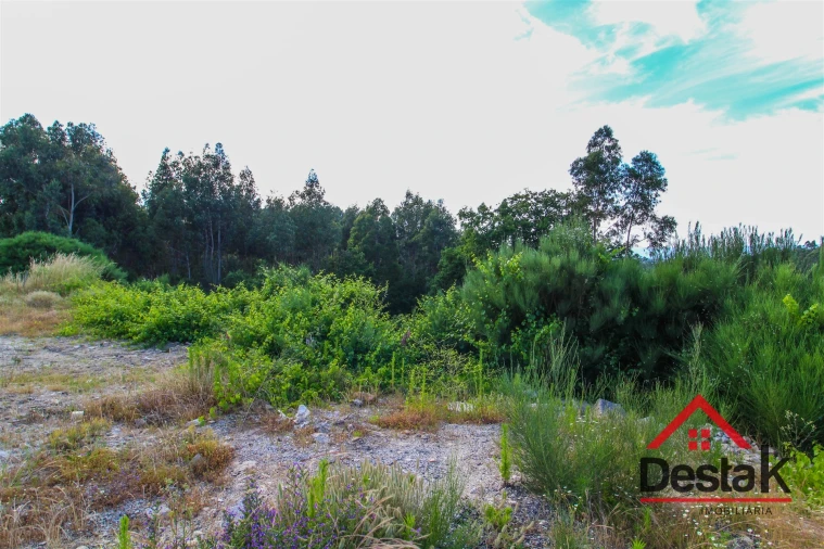 Terreno para Venda em Cambra e Carvalhal de Vermilhas Foto 3