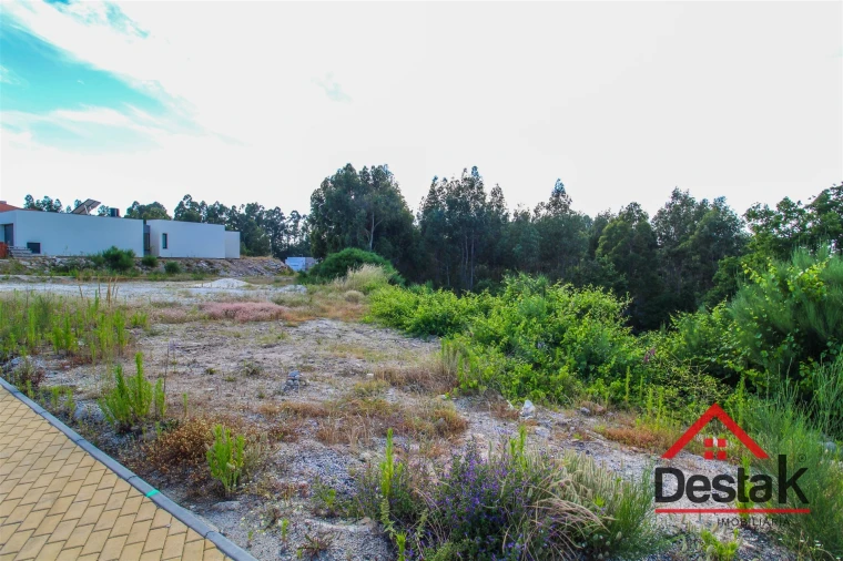 Terreno para Venda em Cambra e Carvalhal de Vermilhas