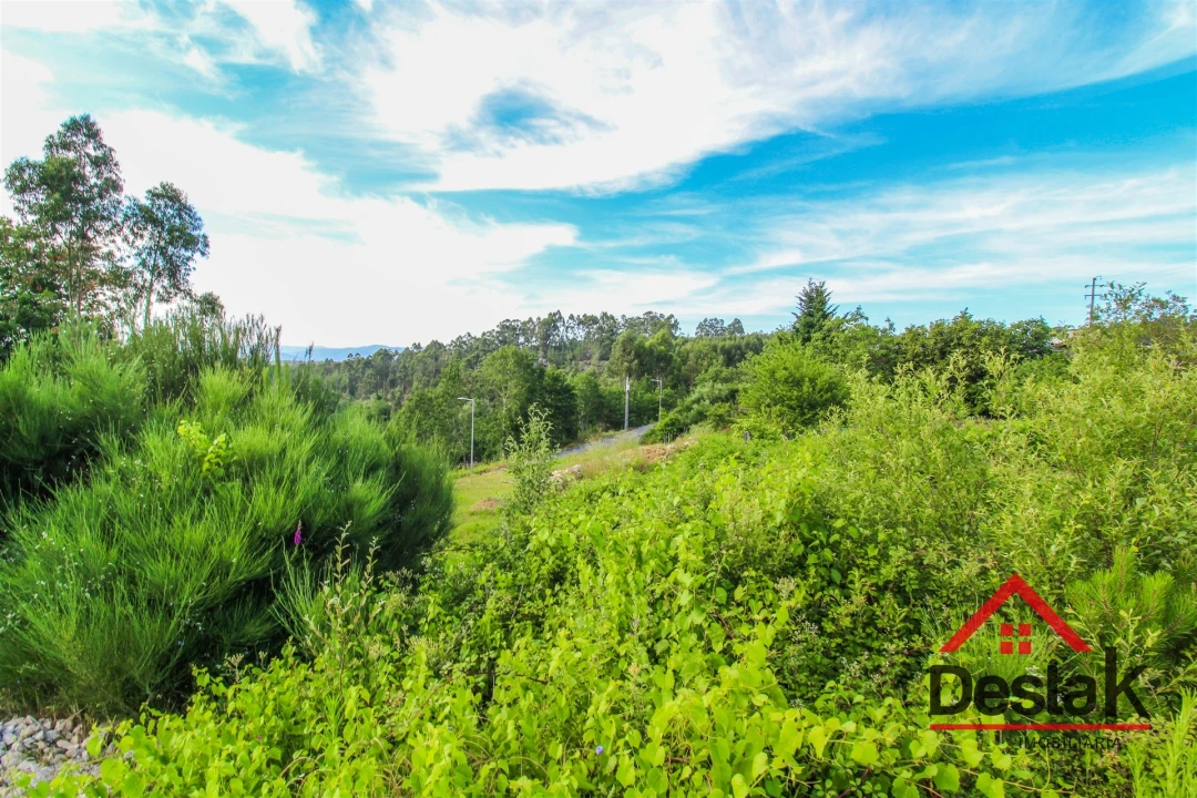 Terreno para Venda em Cambra e Carvalhal de Vermilhas Foto 5