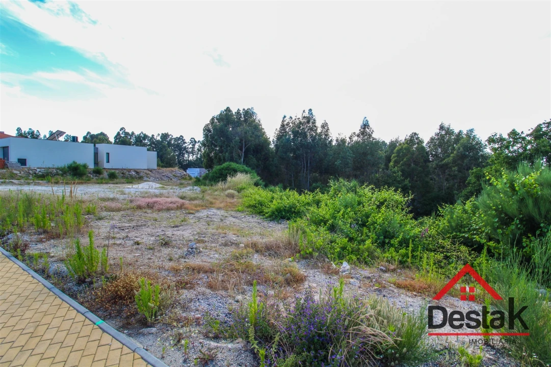 Terreno para Venda em Cambra e Carvalhal de Vermilhas Foto 1