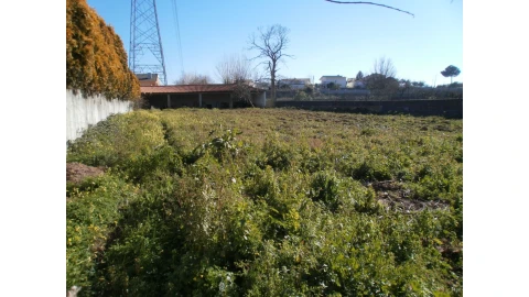 Terreno para Venda em Grijó e Sermonde