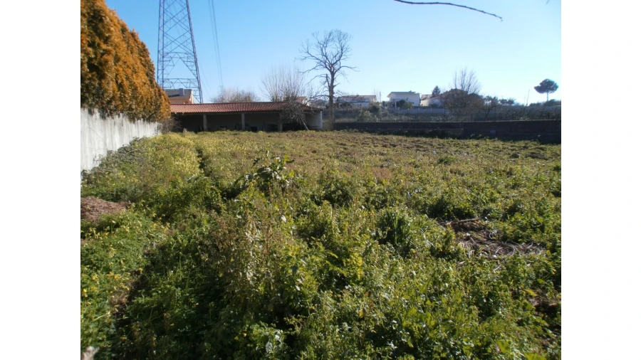 Terreno para Venda em Grijó e Sermonde