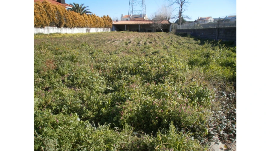 Terreno para Venda em Grijó e Sermonde Foto 2