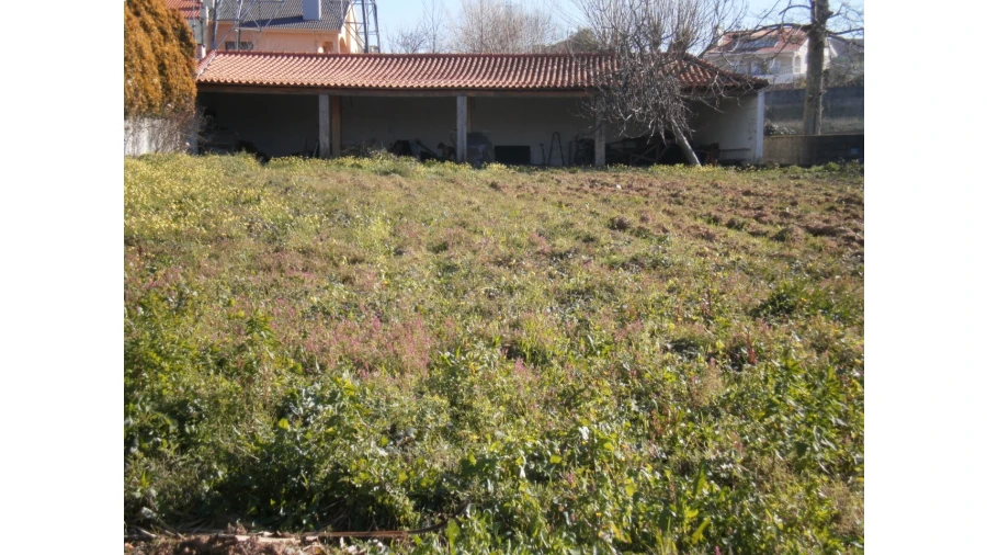 Terreno para Venda em Grijó e Sermonde Foto 3
