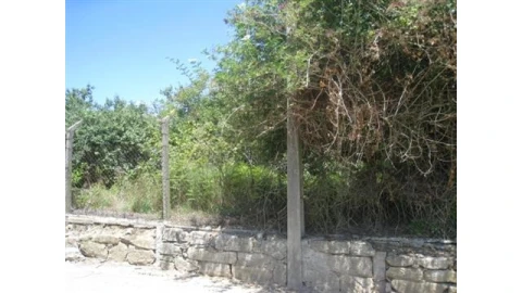 Terreno para Venda em Serzedo e Perosinho