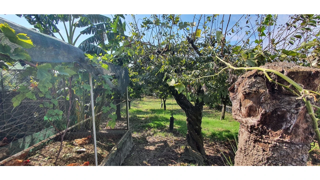 Quinta T4 para Venda em Mafamude e Vilar do Paraíso Foto 108