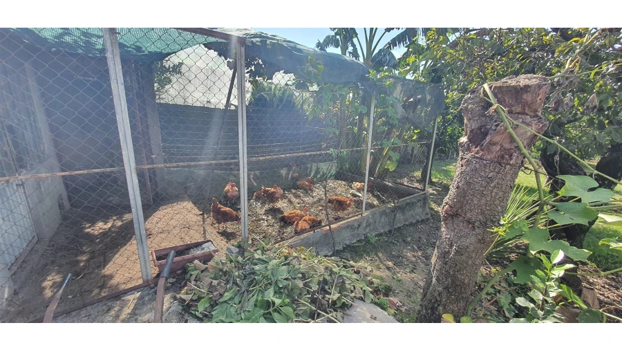 Quinta T4 para Venda em Mafamude e Vilar do Paraíso Foto 107