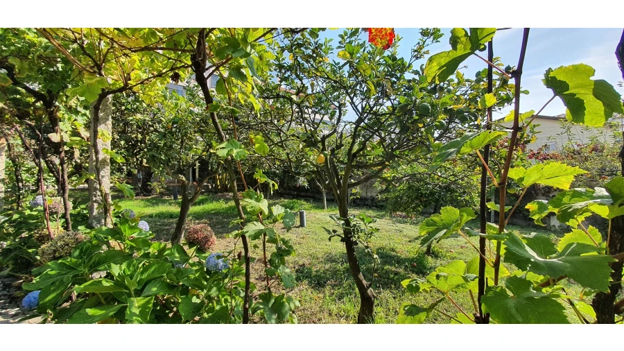 Quinta T4 para Venda em Mafamude e Vilar do Paraíso Foto 97