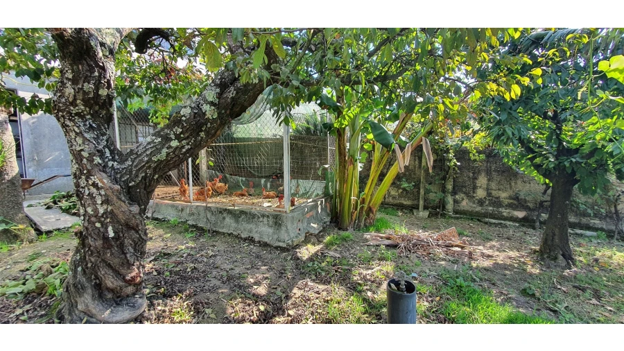 Quinta T4 para Venda em Mafamude e Vilar do Paraíso Foto 101