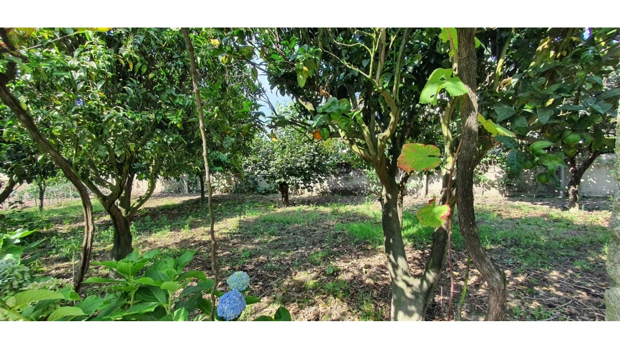 Quinta T4 para Venda em Mafamude e Vilar do Paraíso Foto 124