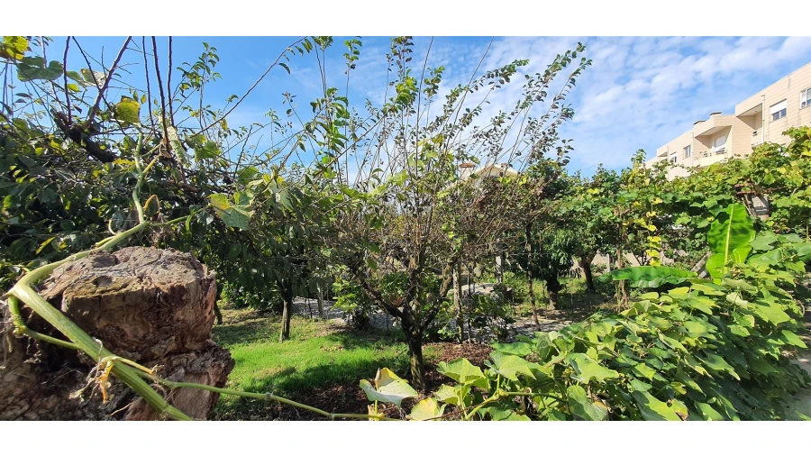 Quinta T4 para Venda em Mafamude e Vilar do Paraíso Foto 109