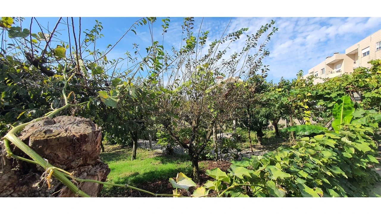 Quinta T4 para Venda em Mafamude e Vilar do Paraíso Foto 109