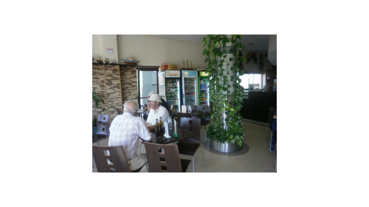 Negócio para Venda em Santa Marinha e São Pedro da Afurada Foto 11