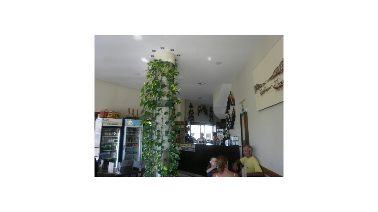 Negócio para Venda em Santa Marinha e São Pedro da Afurada Foto 12