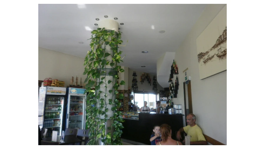 Negócio para Venda em Santa Marinha e São Pedro da Afurada Foto 12