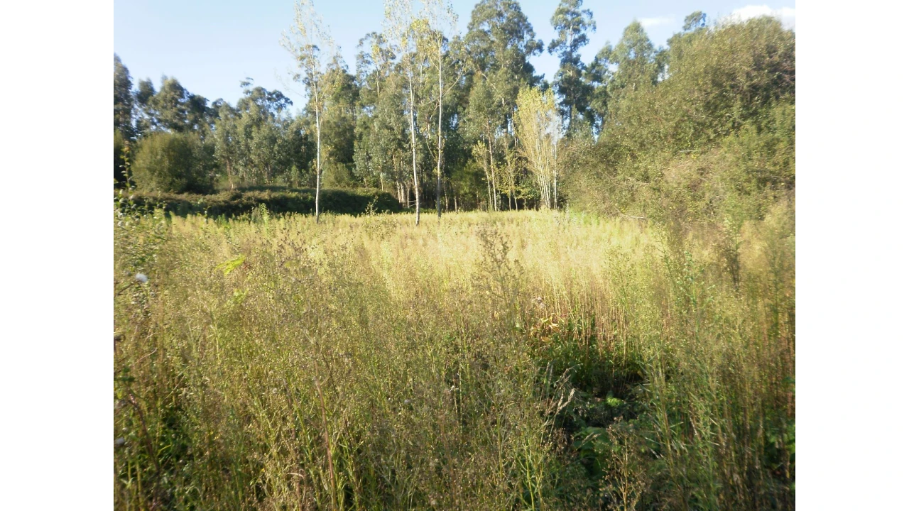 Terreno para Venda em Sandim, Olival, Lever e Crestuma Foto 6