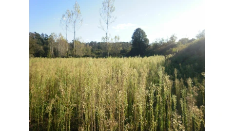 Terreno para Venda em Sandim, Olival, Lever e Crestuma