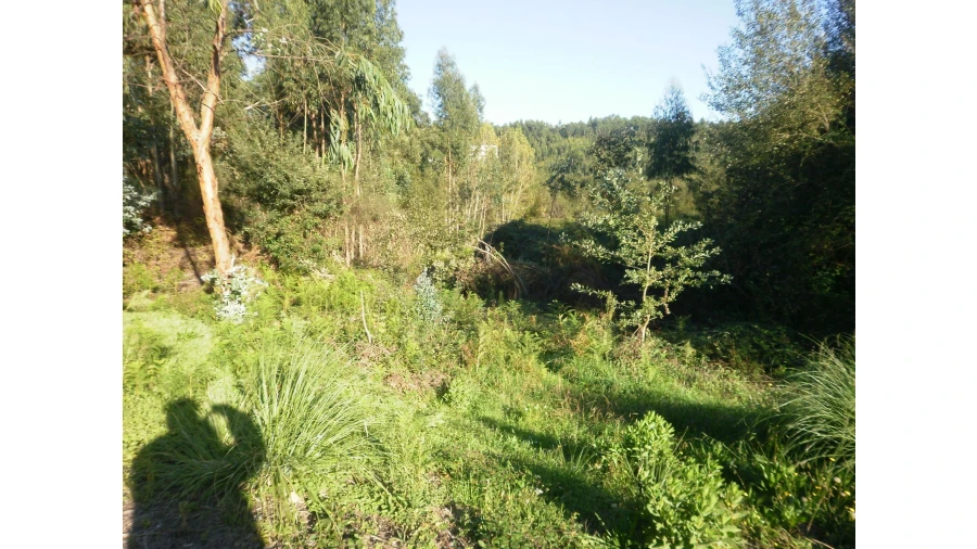 Terreno para Venda em Sandim, Olival, Lever e Crestuma Foto 5