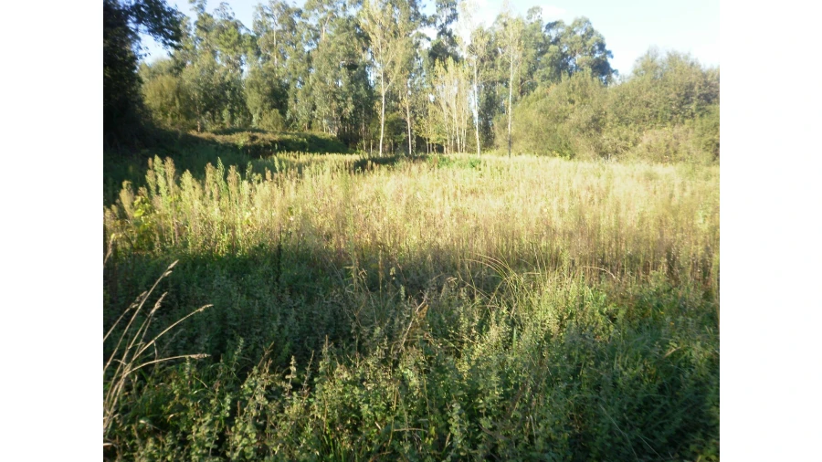 Terreno para Venda em Sandim, Olival, Lever e Crestuma Foto 8
