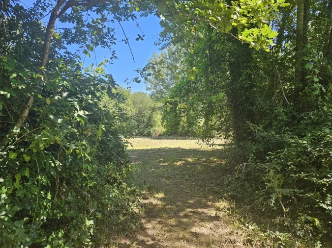 Terreno para Venda em Sandim, Olival, Lever e Crestuma Foto 4