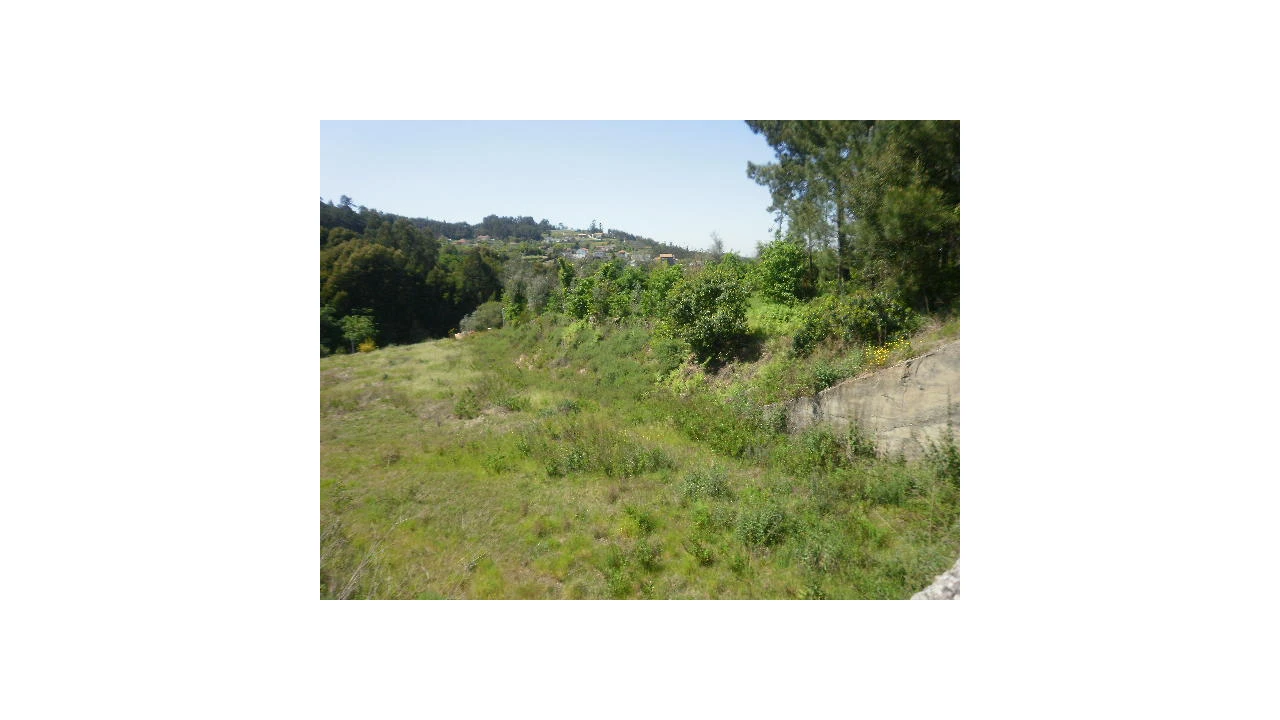 Terreno Agricola ou Rústico para Venda em Sandim, Olival, Lever e Crestuma Foto 1