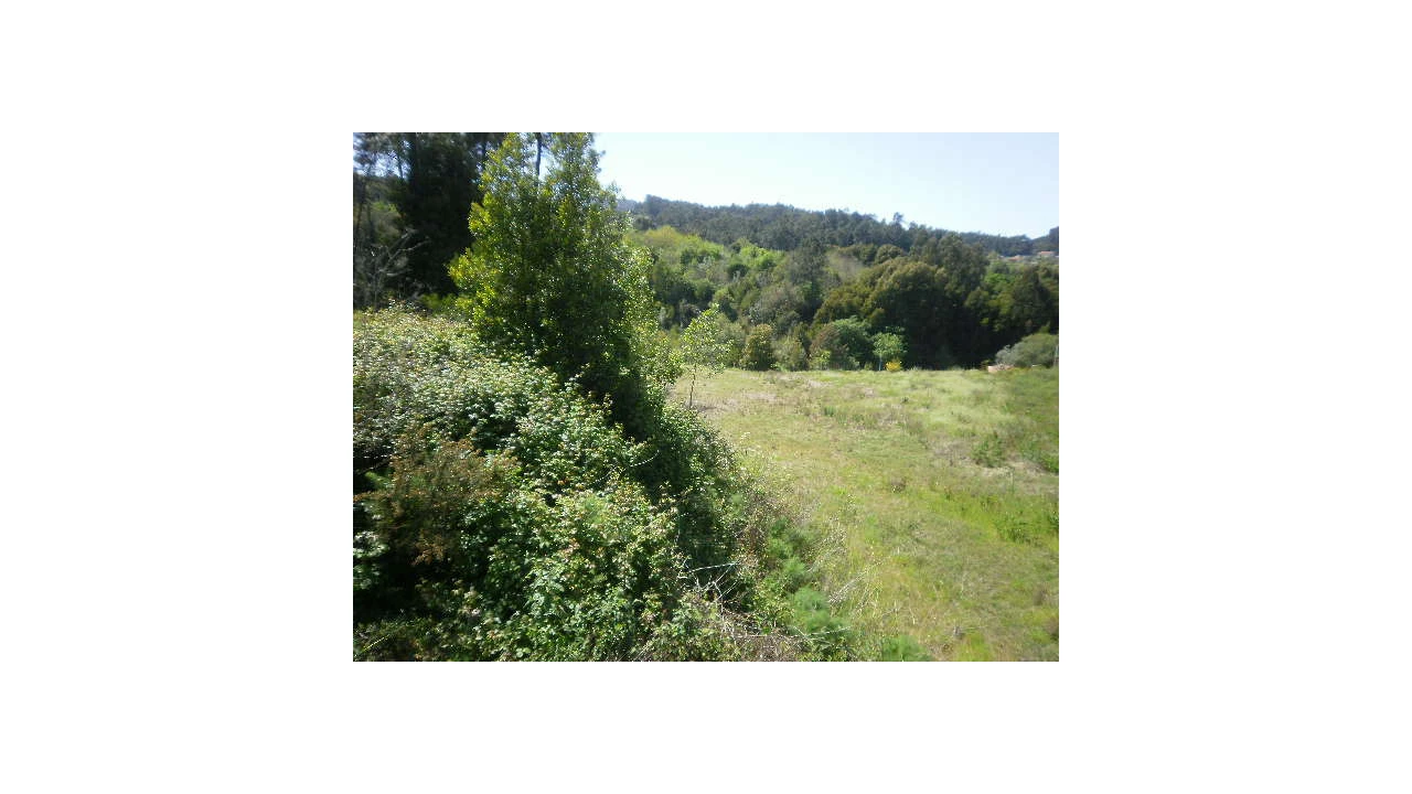 Terreno Agricola ou Rústico para Venda em Sandim, Olival, Lever e Crestuma Foto 2