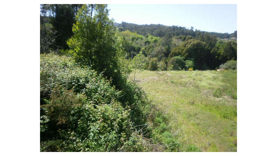 Terreno Agricola ou Rústico para Venda em Sandim, Olival, Lever e Crestuma Foto 2