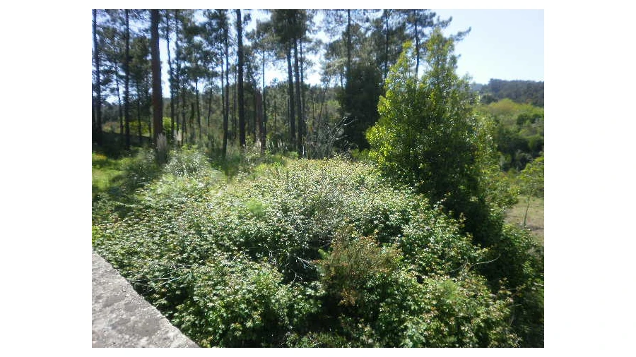 Terreno Agricola ou Rústico para Venda em Sandim, Olival, Lever e Crestuma Foto 3