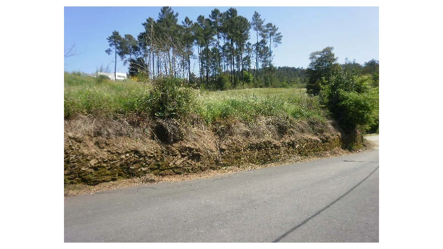 Terreno Agricola ou Rústico para Venda em Sandim, Olival, Lever e Crestuma Foto 4