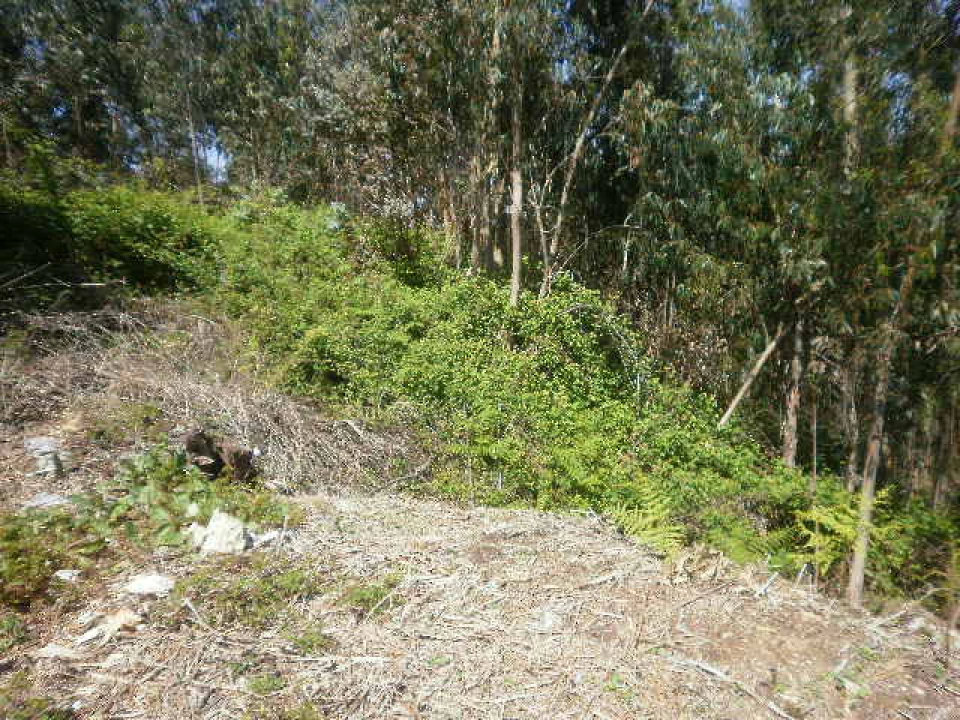 Terreno Agricola ou Rústico para Venda em Sandim, Olival, Lever e Crestuma Foto 2