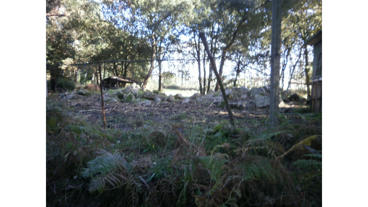 Terreno para Venda em Serzedo e Perosinho Foto 3