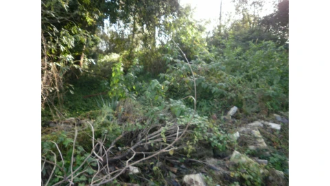 Terreno para Venda em Serzedo e Perosinho