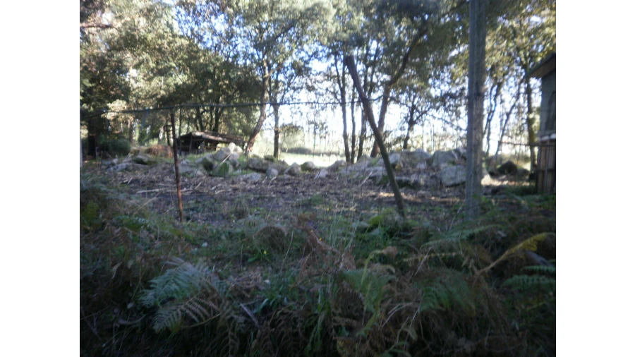 Terreno para Venda em Serzedo e Perosinho Foto 3
