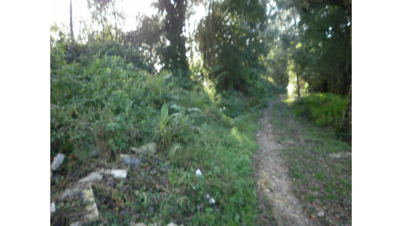 Terreno para Venda em Serzedo e Perosinho Foto 2