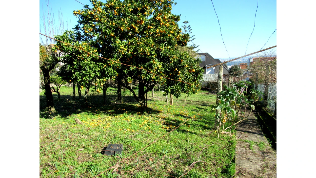 Negócio para Venda em Vilar de Andorinho Foto 24